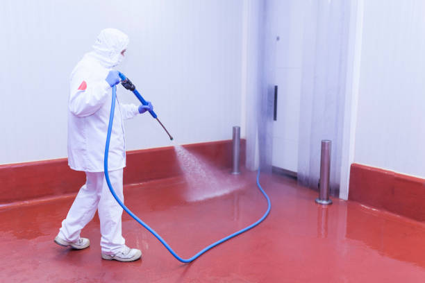 Best Graffiti Removal  in Kincheloe, MI
